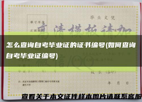 怎么查询自考毕业证的证书编号(如何查询自考毕业证编号)缩略图