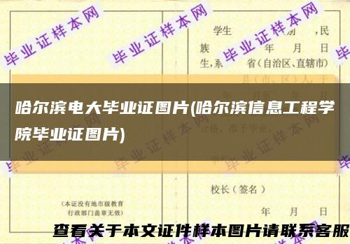 哈尔滨电大毕业证图片(哈尔滨信息工程学院毕业证图片)缩略图