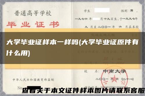 大学毕业证样本一样吗(大学毕业证原件有什么用)缩略图