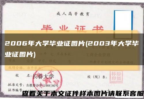 2006年大学毕业证图片(2003年大学毕业证图片)缩略图