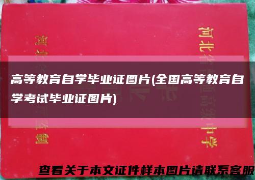 高等教育自学毕业证图片(全国高等教育自学考试毕业证图片)缩略图