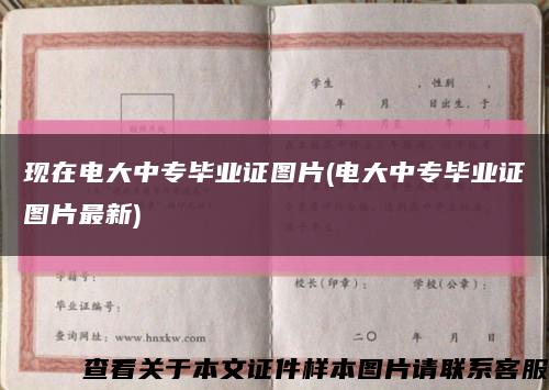 现在电大中专毕业证图片(电大中专毕业证图片最新)缩略图