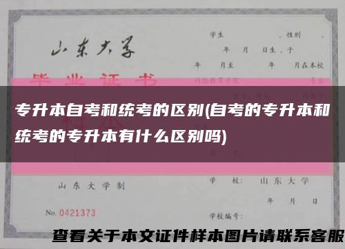 专升本自考和统考的区别(自考的专升本和统考的专升本有什么区别吗)缩略图