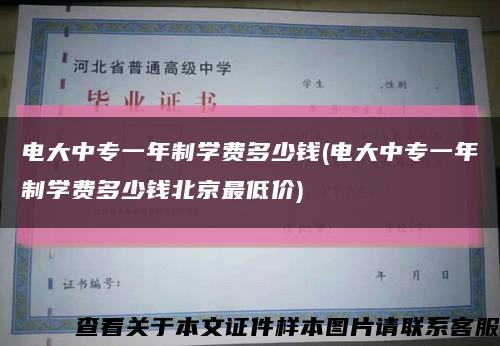 电大中专一年制学费多少钱(电大中专一年制学费多少钱北京最低价)缩略图