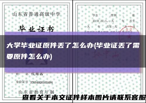 大学毕业证原件丢了怎么办(毕业证丢了需要原件怎么办)缩略图