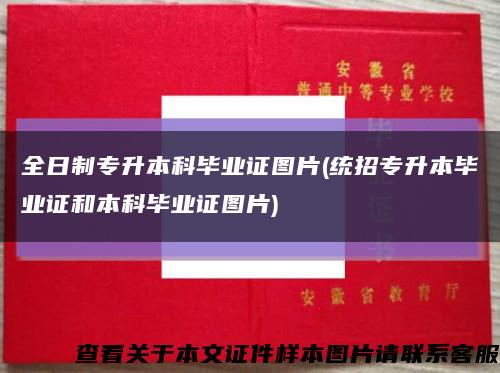 全日制专升本科毕业证图片(统招专升本毕业证和本科毕业证图片)缩略图