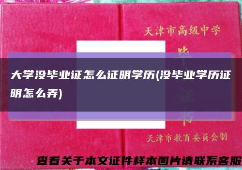 大学没毕业证怎么证明学历(没毕业学历证明怎么弄)缩略图