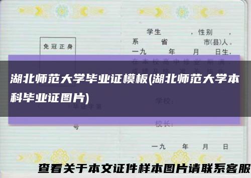 湖北师范大学毕业证模板(湖北师范大学本科毕业证图片)缩略图