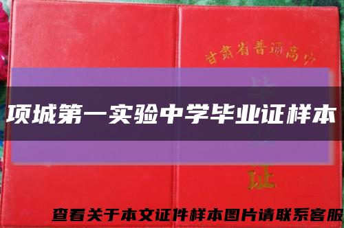 项城第一实验中学毕业证样本缩略图