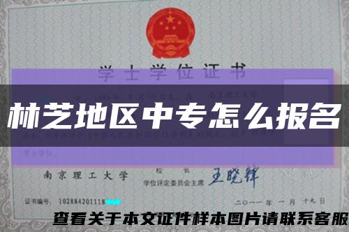 林芝地区中专怎么报名缩略图