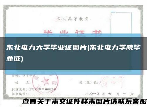 东北电力大学毕业证图片(东北电力学院毕业证)缩略图