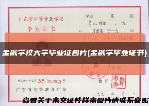 金融学校大学毕业证图片(金融学毕业证书)缩略图