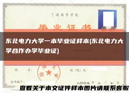 东北电力大学一本毕业证样本(东北电力大学合作办学毕业证)缩略图