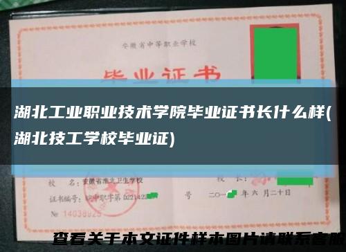 湖北工业职业技术学院毕业证书长什么样(湖北技工学校毕业证)缩略图