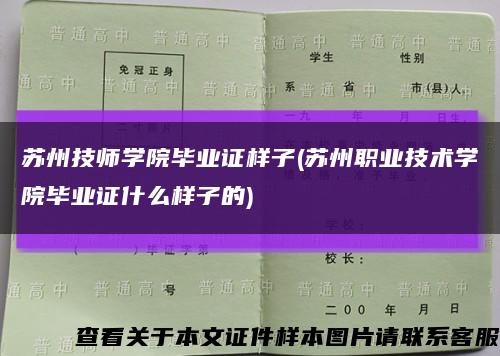 苏州技师学院毕业证样子(苏州职业技术学院毕业证什么样子的)缩略图