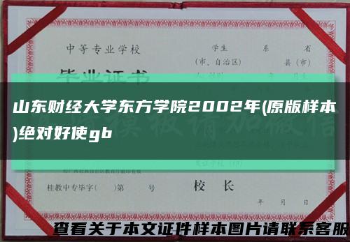 山东财经大学东方学院2002年(原版样本)绝对好使gb缩略图