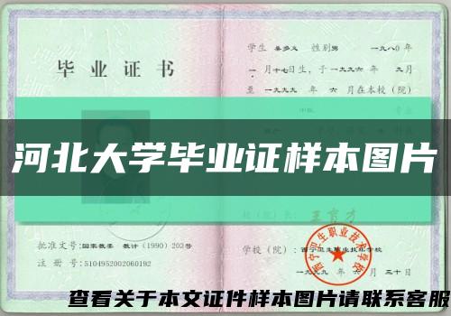 河北大学毕业证样本图片缩略图