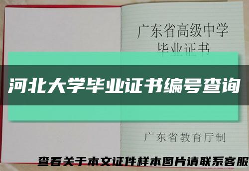 河北大学毕业证书编号查询缩略图