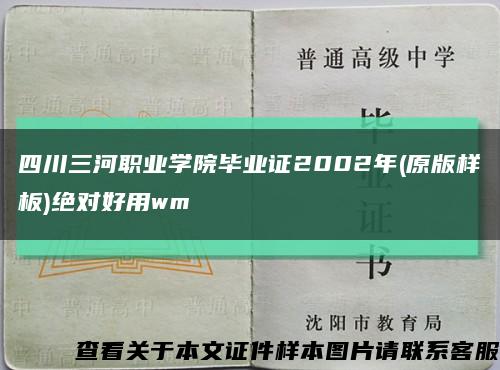 四川三河职业学院毕业证2002年(原版样板)绝对好用wm缩略图