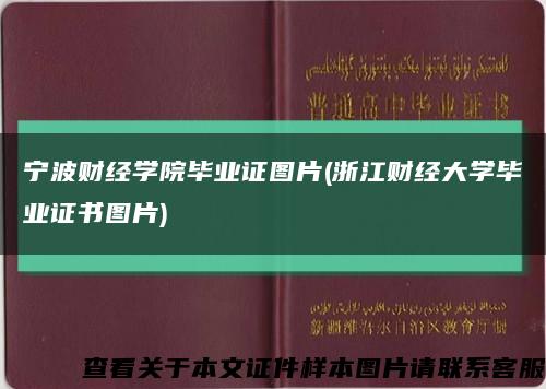 宁波财经学院毕业证图片(浙江财经大学毕业证书图片)缩略图