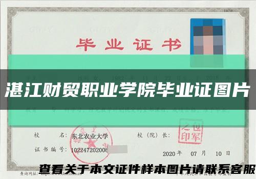 湛江财贸职业学院毕业证图片缩略图