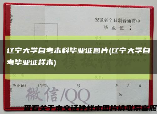 辽宁大学自考本科毕业证图片(辽宁大学自考毕业证样本)缩略图