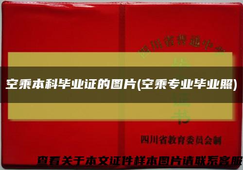 空乘本科毕业证的图片(空乘专业毕业照)缩略图