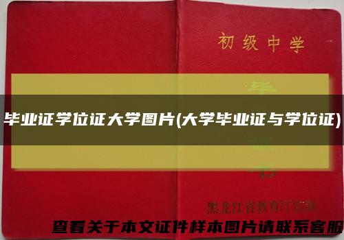 毕业证学位证大学图片(大学毕业证与学位证)缩略图