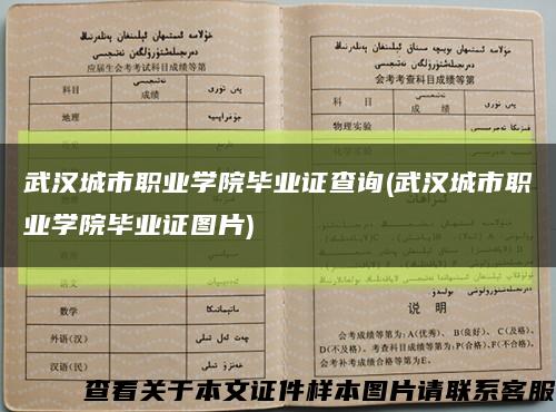 武汉城市职业学院毕业证查询(武汉城市职业学院毕业证图片)缩略图