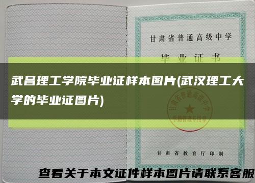 武昌理工学院毕业证样本图片(武汉理工大学的毕业证图片)缩略图