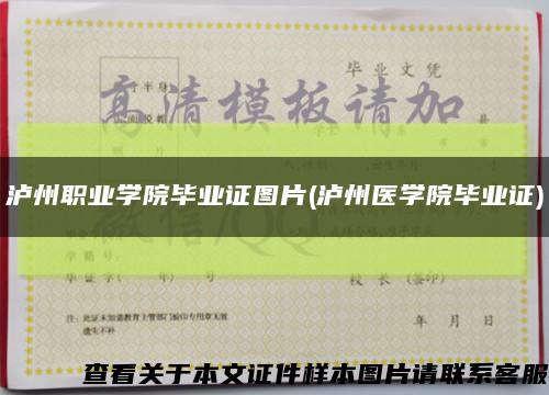 泸州职业学院毕业证图片(泸州医学院毕业证)缩略图