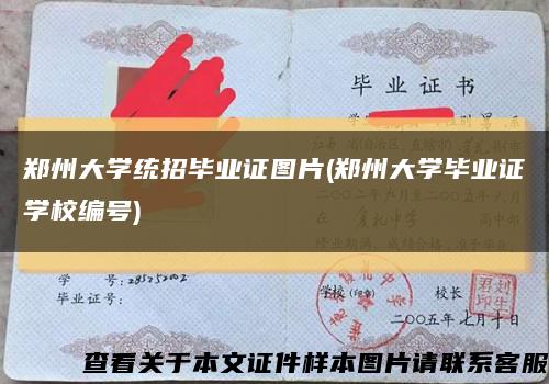 郑州大学统招毕业证图片(郑州大学毕业证学校编号)缩略图