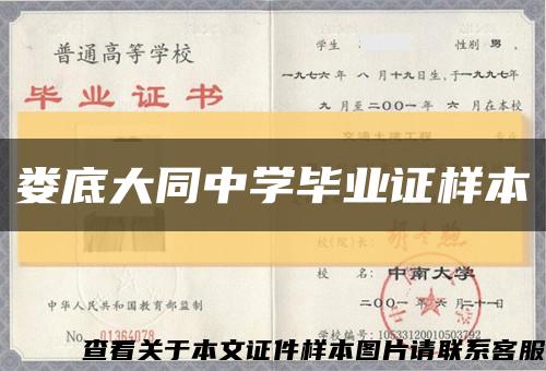 娄底大同中学毕业证样本缩略图