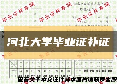 河北大学毕业证补证缩略图