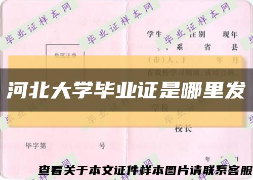 河北大学毕业证是哪里发缩略图