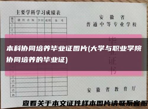 本科协同培养毕业证图片(大学与职业学院协同培养的毕业证)缩略图