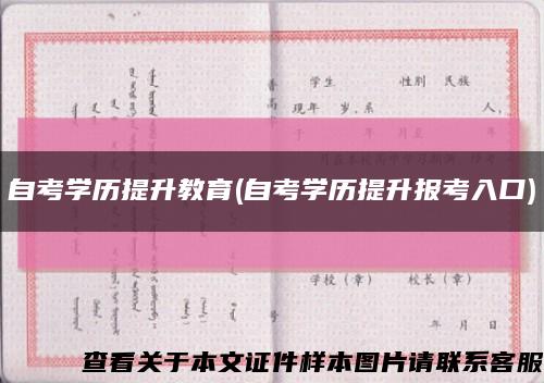 自考学历提升教育(自考学历提升报考入口)缩略图