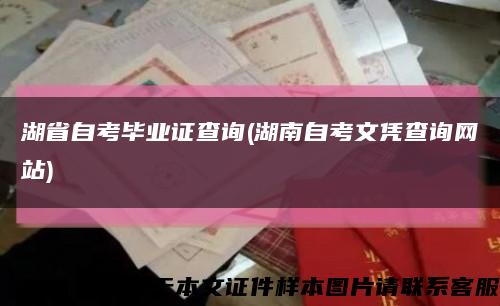 湖省自考毕业证查询(湖南自考文凭查询网站)缩略图