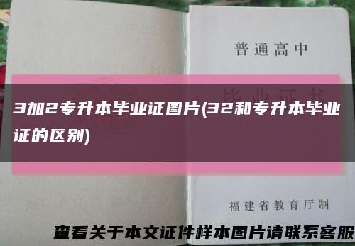 3加2专升本毕业证图片(32和专升本毕业证的区别)缩略图