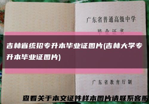 吉林省统招专升本毕业证图片(吉林大学专升本毕业证图片)缩略图