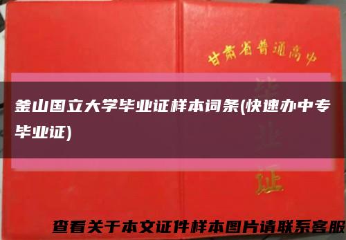 釜山国立大学毕业证样本词条(快速办中专毕业证)缩略图