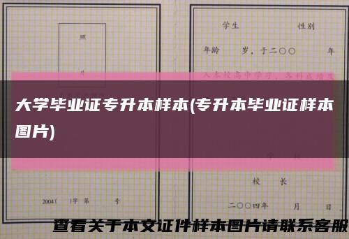 大学毕业证专升本样本(专升本毕业证样本图片)缩略图