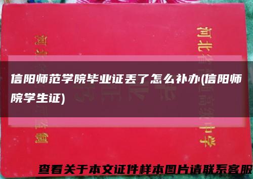 信阳师范学院毕业证丢了怎么补办(信阳师院学生证)缩略图