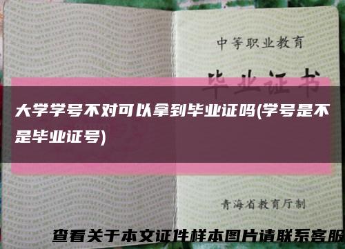 大学学号不对可以拿到毕业证吗(学号是不是毕业证号)缩略图