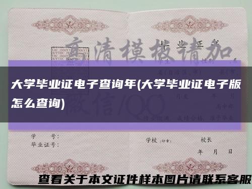 大学毕业证电子查询年(大学毕业证电子版怎么查询)缩略图