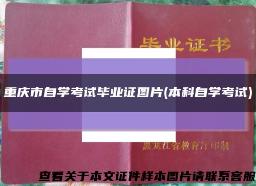 重庆市自学考试毕业证图片(本科自学考试)缩略图