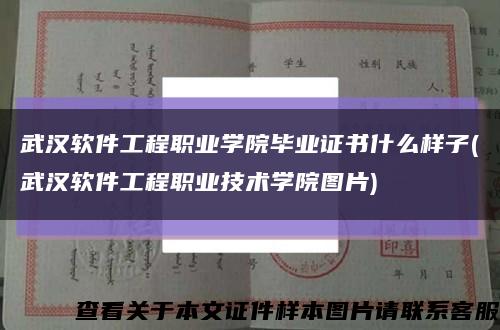 武汉软件工程职业学院毕业证书什么样子(武汉软件工程职业技术学院图片)缩略图