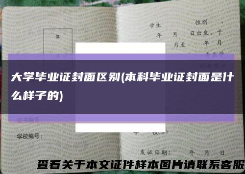 大学毕业证封面区别(本科毕业证封面是什么样子的)缩略图