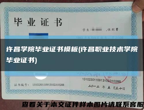 许昌学院毕业证书模板(许昌职业技术学院毕业证书)缩略图