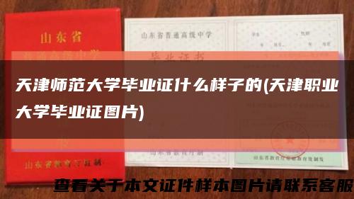 天津师范大学毕业证什么样子的(天津职业大学毕业证图片)缩略图